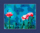 cold or flu image healthtips images